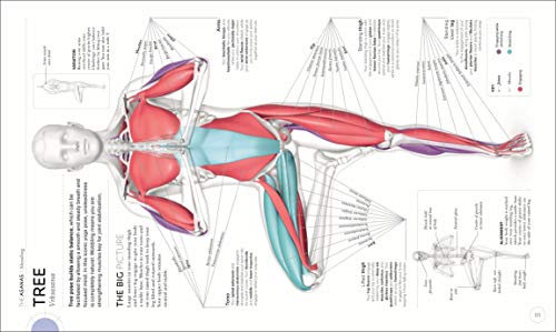 Science of Yoga: Understand the Anatomy and...